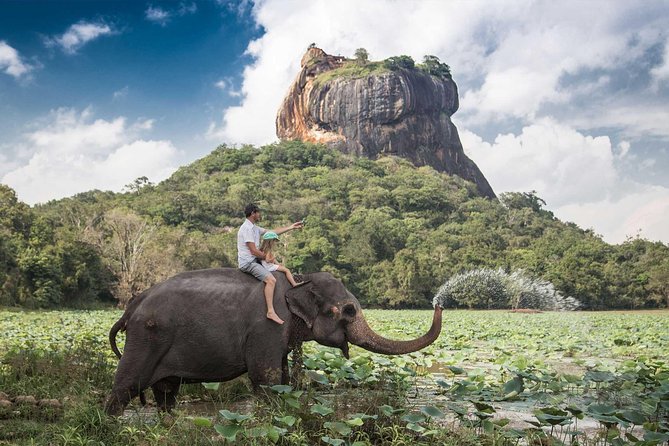 Day Tour to Sigiriya Rock Fortress and Dambulla Cave From Negombo - Price Details