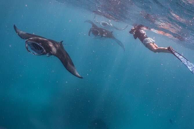 Discover Baa Atoll in 4 Nights and 5 Days - Traveler Requirements