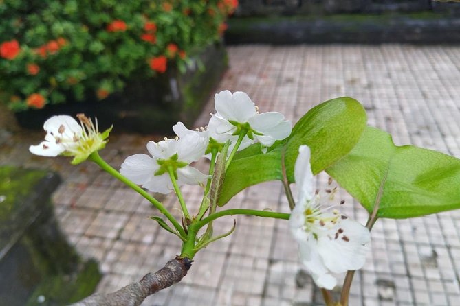 Discover Hoian: Immersive Day With Native: 5 Experiences in 1 Day - Frequently Asked Questions