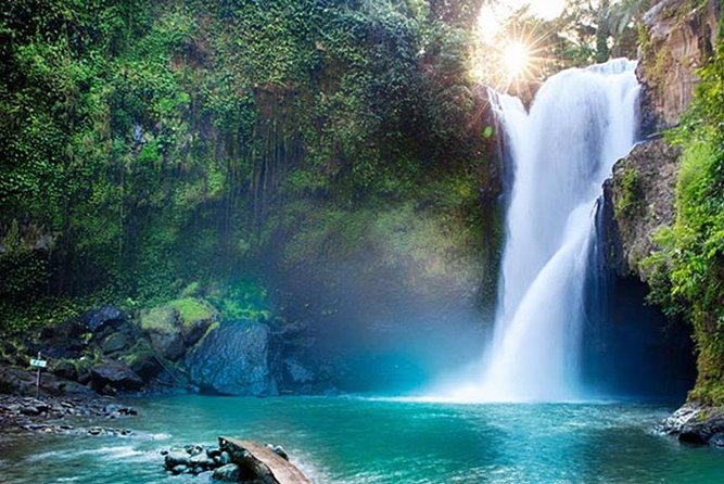 DISCOVER the Beauty of Bali With Private Car Tours - Details of the Tour Operator