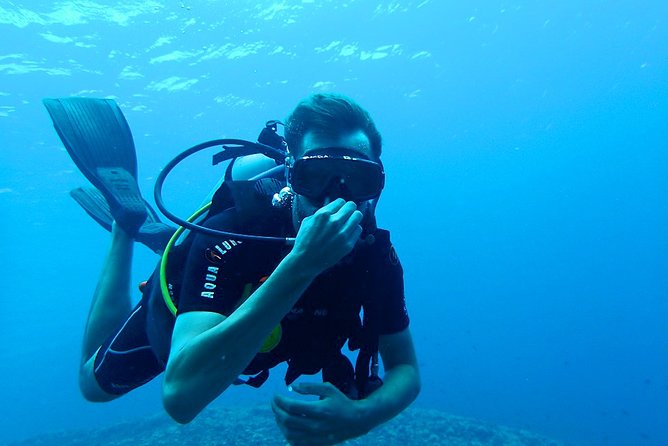 Diving From Mount Lavinia - The Sum Up