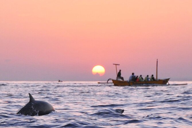 Dolphin Watching Experience at North Bali - Frequently Asked Questions