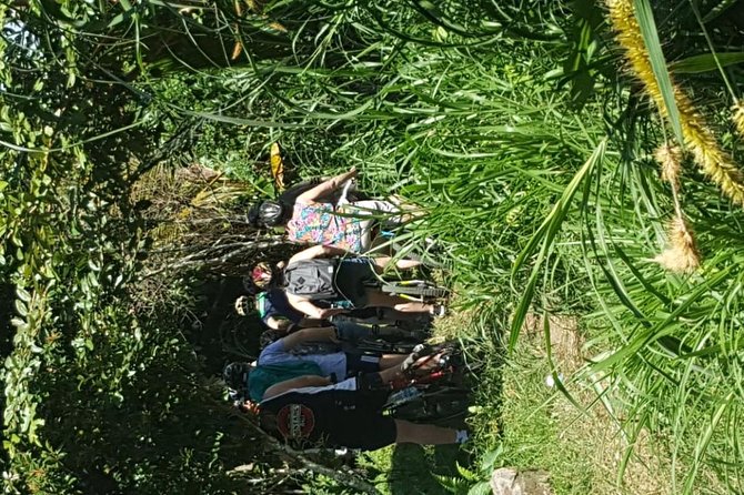 Down Hill Cycling Tours - Frequently Asked Questions