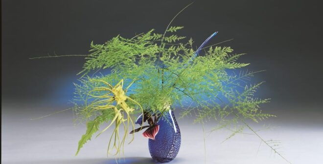 【KADO】✧ Discover the Authentic Kyoto - How to Reserve