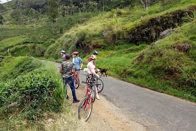 Ellawala Waterfall Cycling Tour From Ella - Frequently Asked Questions