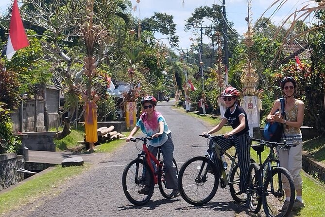 Experience Cycling Tour to Bali UNESCO Heritage Site in Jatiluwih - Booking and Pricing Details