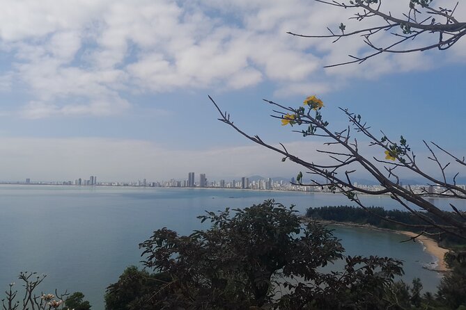 Explore Da Nang & Hoi An by Budget Car Rental - Private Driver - Accessibility Information