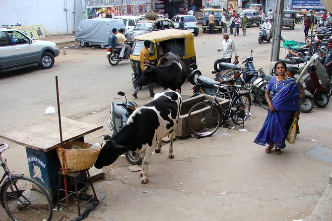 Explore Haridwar - Pickup and Start Time
