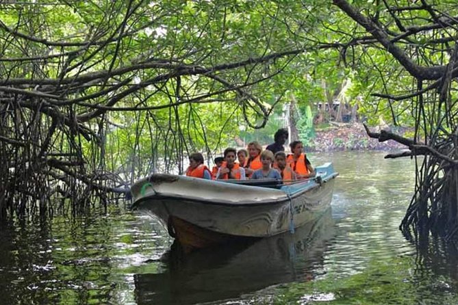 Explore Nature and Heritage in Galle From Negombo (All Inclusive Day Tour) - Pricing Details