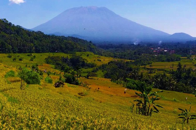 Explore the Original of Bali Nature With Kastala Trekking Including Lunch - Pricing Details