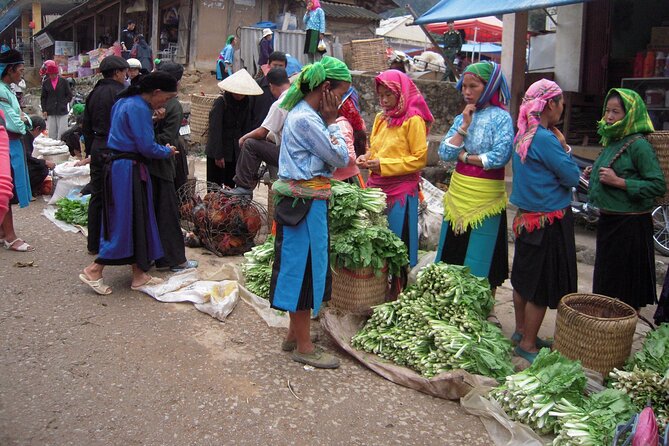 From Ha Giang: Motorbike Tour 3D2N (Small Group With Easy Riders) - Booking and Pricing Information