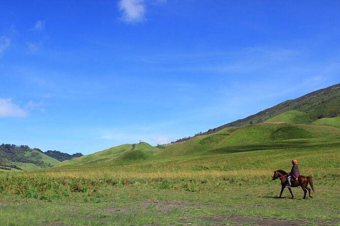 Full Day Comfort Private Bromo Tour - Confirmation and Cancellation