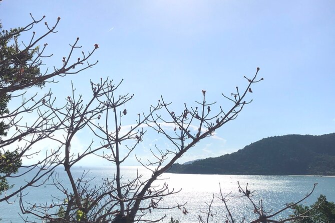 Full Day Fun Diving and Snorkeling By Tiger Fish Divers - Customer Reviews and Testimonials