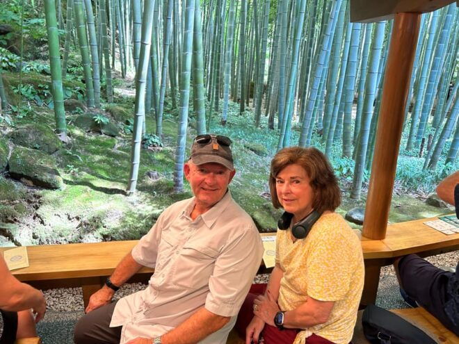Full-Day Kamakura Tour, Tokyo / Yokohama ⇒ Tokyo, 2-4 Guests - Transportation Options