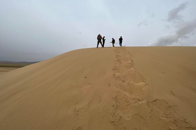 Full Day Private Jeep Tour to Elsen Tasarkhai, Semi-Gobi - Highlights