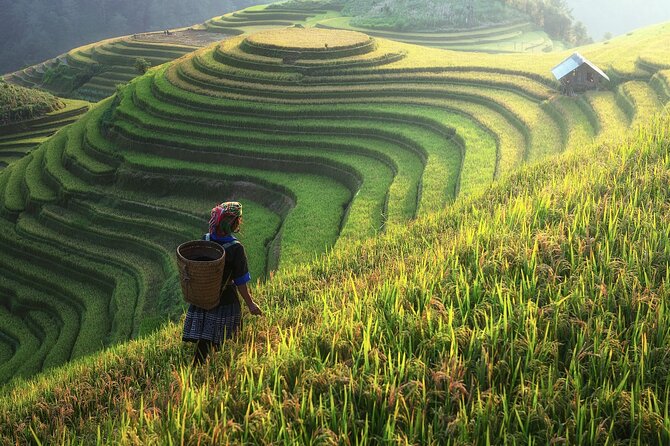 Full-Day Private Trekking Adventure in Sapa - Additional Information