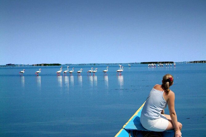 Full Day Trip to Konark Temple and Chilka Lake From Bhubneswar - Frequently Asked Questions