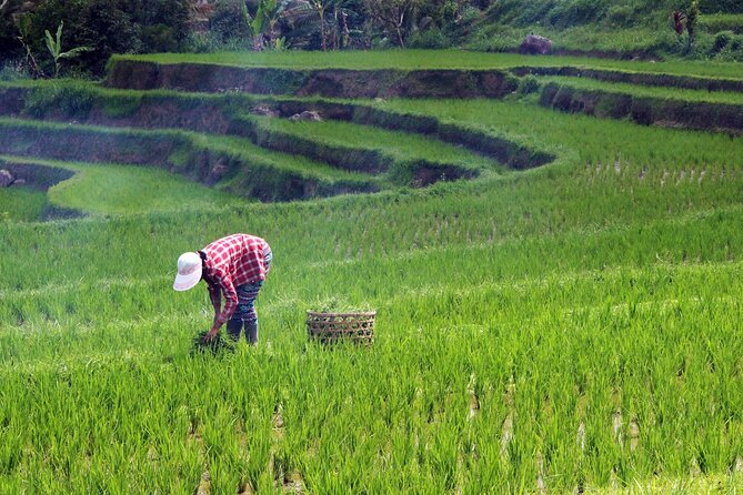 Full Day Wonders of Bali Private Tour With Pickup and Lunch - Additional Information