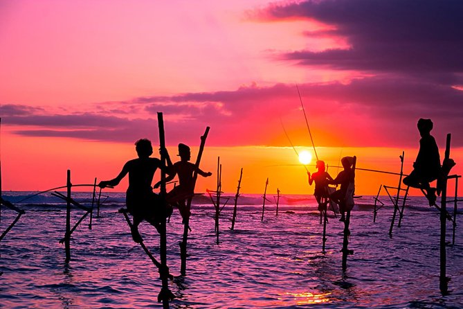 Galle Full Day Private Trip From Colombo / Negambo - What To Expect