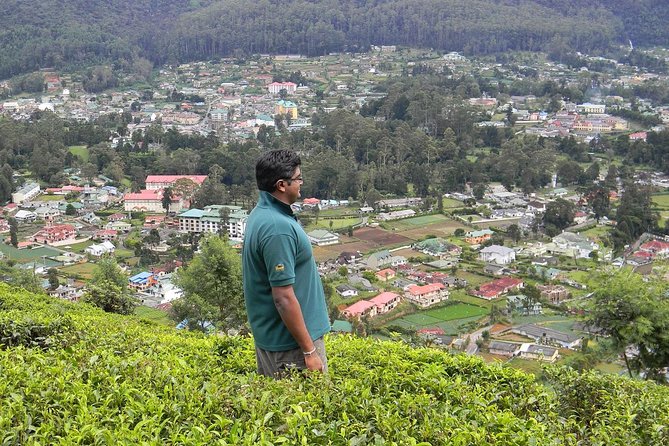 Guided Hike to Single Tree Hills From Nuwara Eliya - Scenic Views