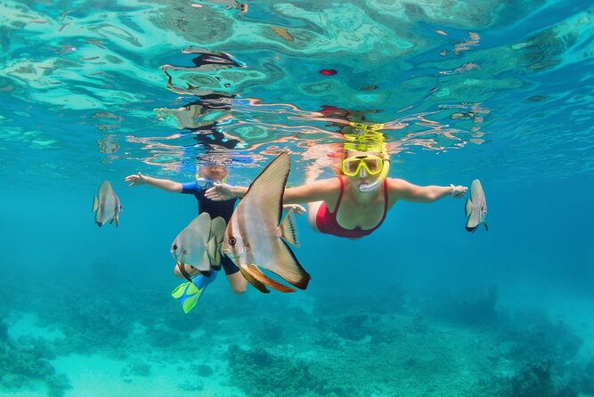 Half-Day Experience Private Tour in Male - Professional Local Guide