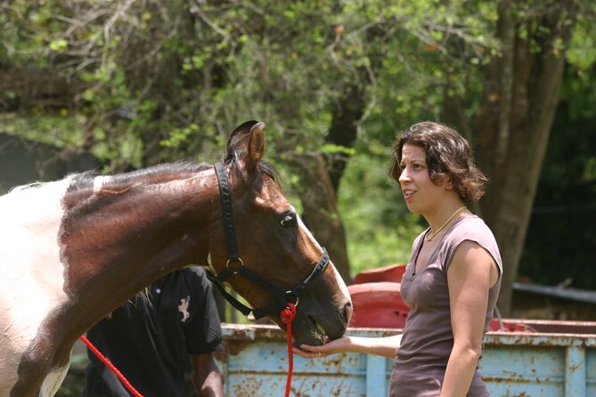 Half Day Horse Riding in Dambulla - Logistics