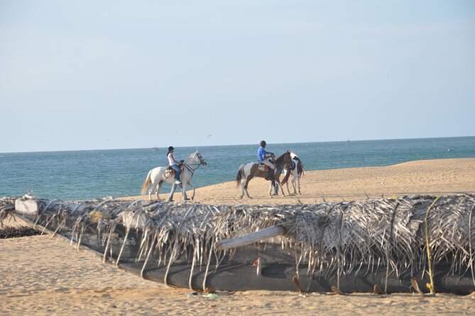 Half-Day Horse Riding in Kalpitiya - The Sum Up