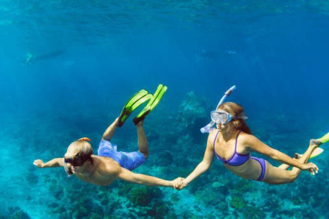 Highlights Nusa Penida Instagram Tour & Snorkeling From Bali - Booking Information