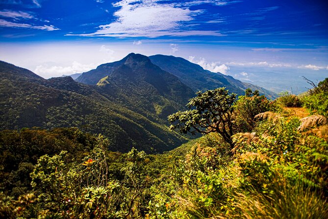 Hike to Horton Plains Border via Rail Tracks - Booking Details