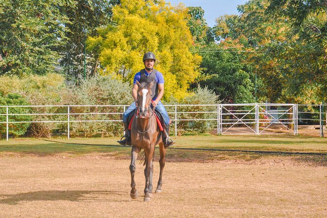 Horse Riding for Professionals in Dambulla - Participant Requirements