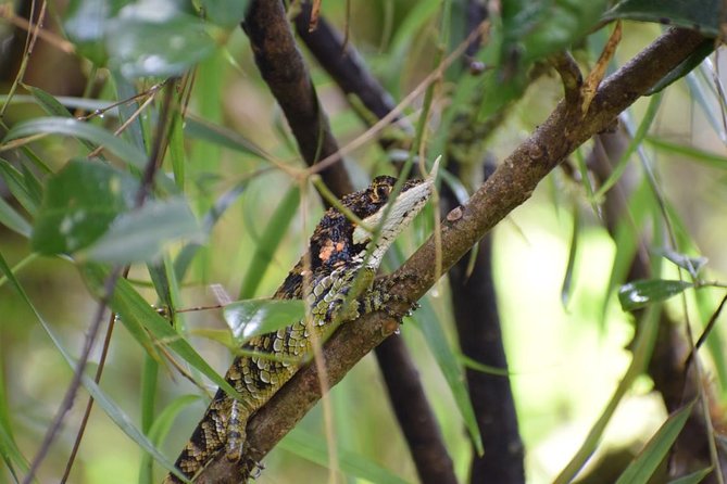 Horton Plains National Park Hike From Nuwara Eliya - Pickup Details