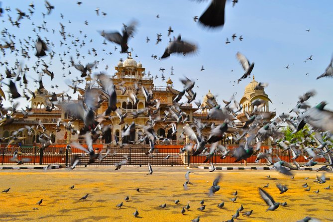 Jaipur Overnight Tour From New Delhi - Participant Recommendations