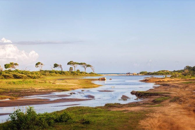Jungle Trekking in Yala Buffer Zone From Hambantota Harbor - Frequently Asked Questions