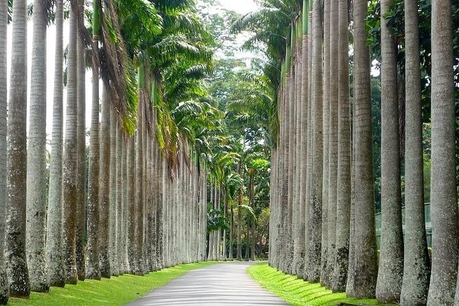 Kandy Private City Tour Do It All in One Day - Pickup Details