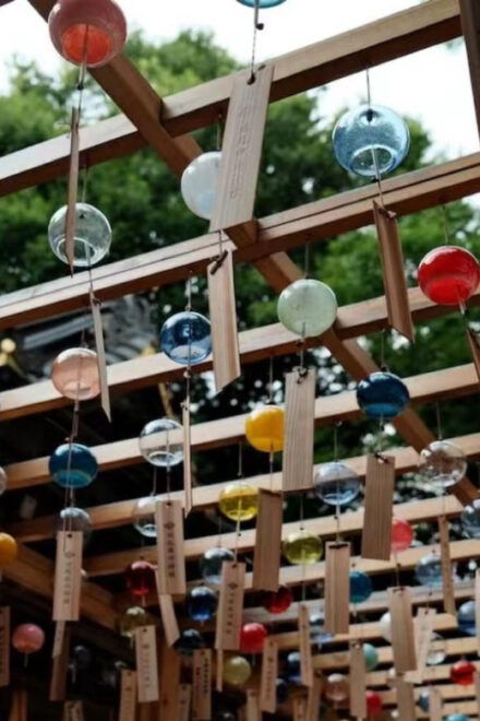 Kanto 10-Hour Chartered Day Trip｜ Kawagoe - Accessibility Features