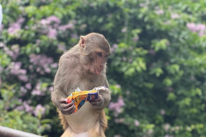 Kathmandu UNESCO World Heritage Sites Tour - The Sum Up