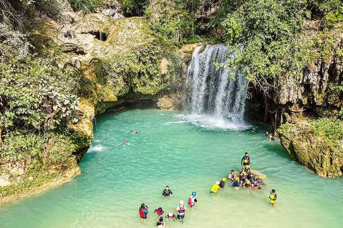 Kawasan Falls Canyoning and Moalboal Sardine Run, Sea Turtles - The Sum Up