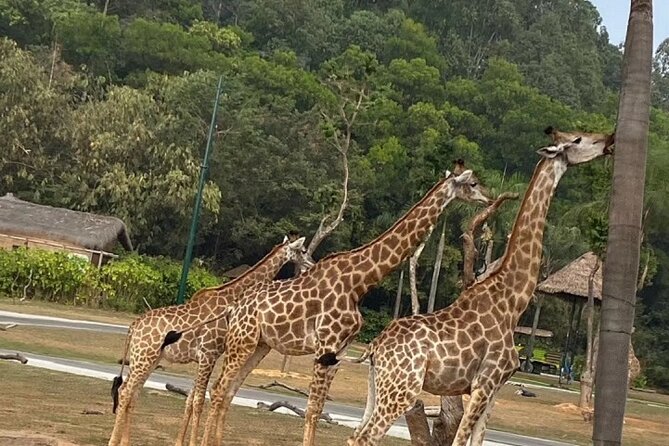 Kids Friendly Private Tour: Zoo Aquarium Safari or Amusement Park - Pricing and Offers
