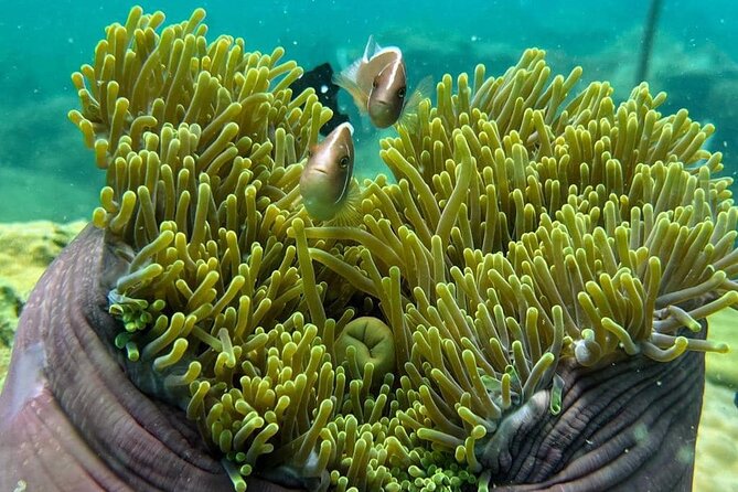 Koh Rong Sanloem Diving for Beginners - Maximum Participants and Refund Policy