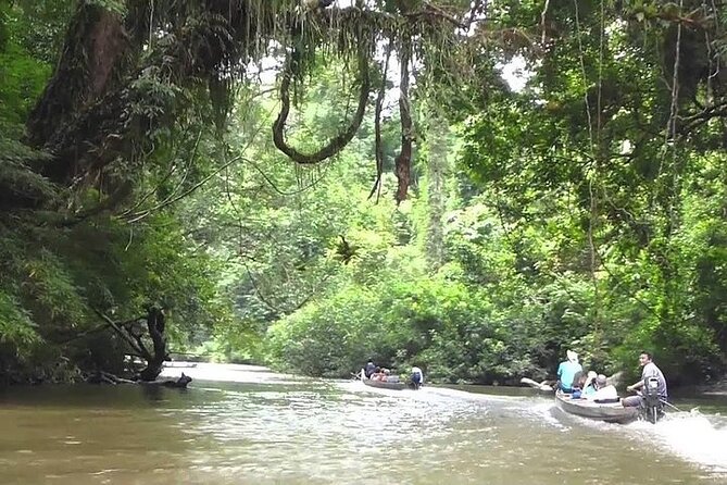 Kuala Lumpur to Taman Negara Shuttle - or Vice Versa - The Sum Up