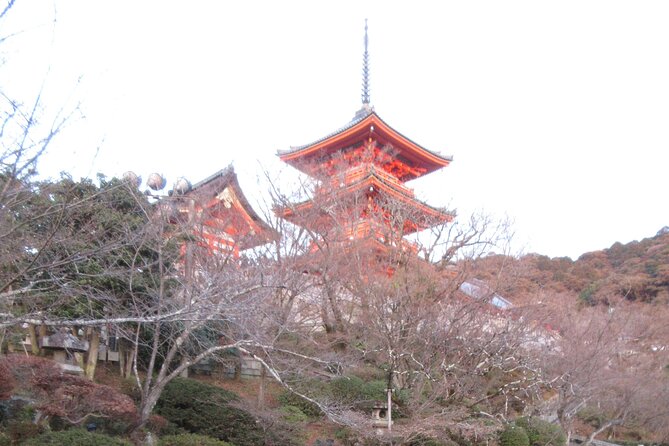 Kyoto ITALIAN GUIDE, Kiyomizu Temple Gion Pagoda Maiko Geisha - Health and Accessibility Recommendations