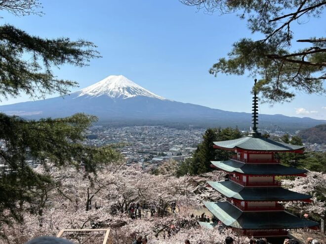 Mt.Fuji Tour, Tokyo / Yokohama ⇒ Tokyo, 2-4 Guests - Inclusions and Exclusions