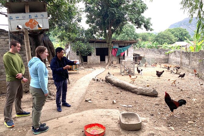 Mua Cave Tam Coc Hoa Lu Day Tour With Small Group 11 Persons - High-Quality Transfer
