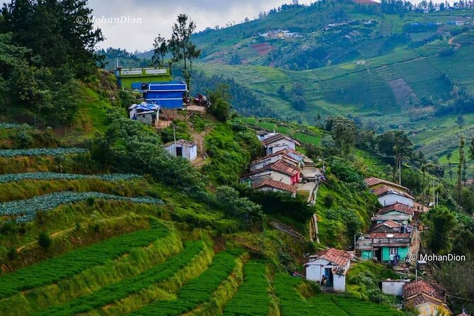 Munnar Day Return Excursion Ex Kochi Covering All Essentials - Additional Information