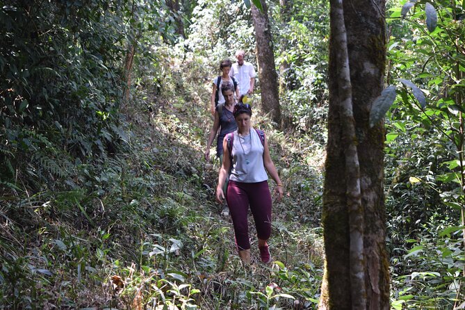 Munnar Trekking (Amazing Munnar Adventure Tours) - Pricing and Guarantee Information