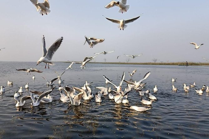 Nal Sarovar Bird Sanctuary & Lothal Day Tour From Ahmedabad - Accessibility Information
