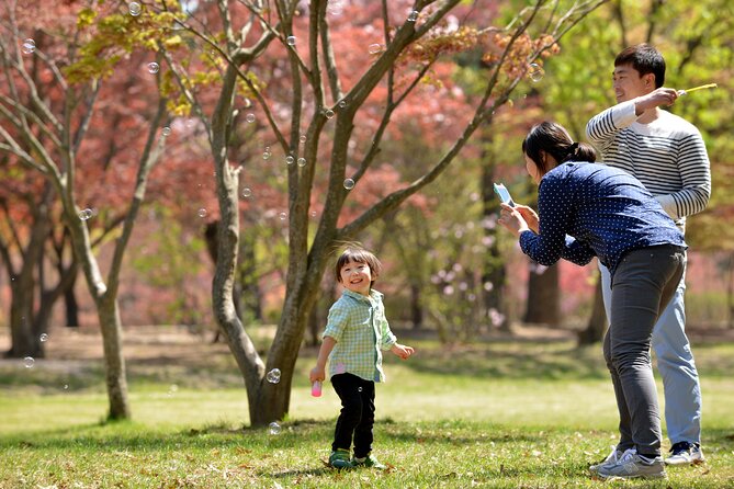 Nami Island, Alpaca World With Samaksan Lake Cable Car Day Tour - Booking Information