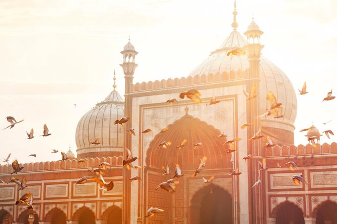 New Delhi Layover Tour: Old & New, Airport to City With Transfer - Pickup Points and Details