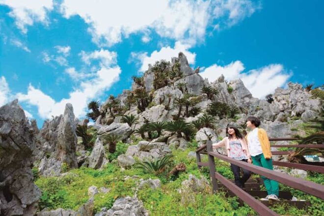 Northern Okinawa National Park Enjoyment Course【C-course】 - Tour Inclusions