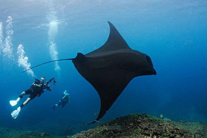 Nusa Penida Tour Package 2 Days 1 Night - Booking and Pricing Information
